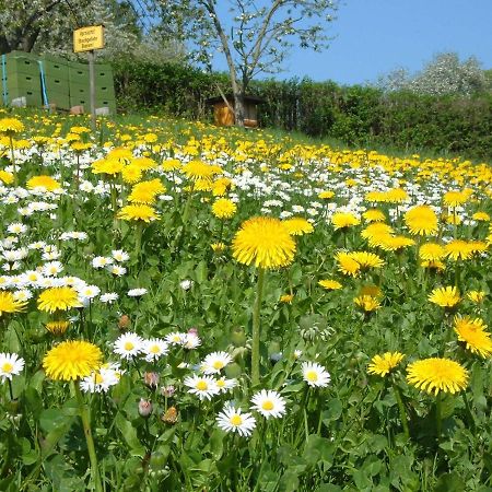 Ferienwohnungen "Allerleigruen" Langenroda المظهر الخارجي الصورة