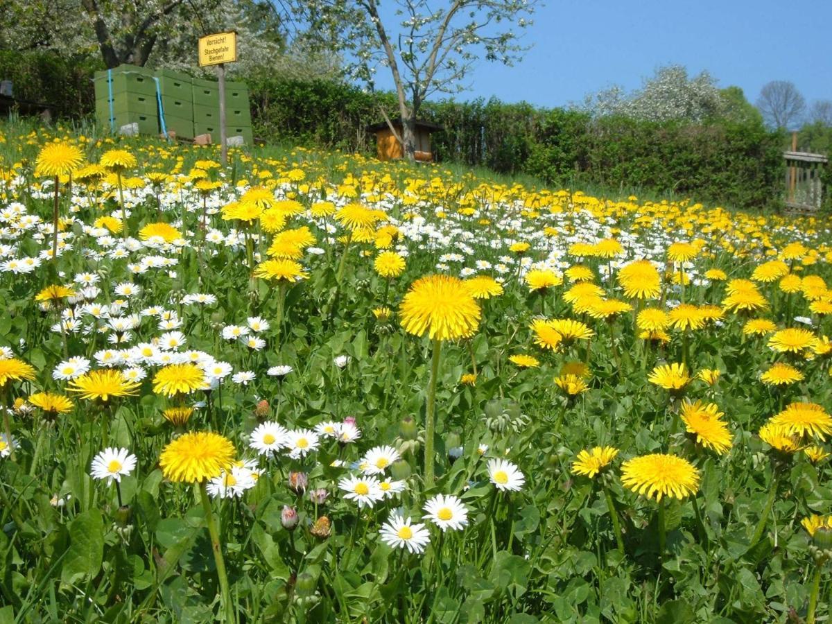 Ferienwohnungen "Allerleigruen" Langenroda المظهر الخارجي الصورة